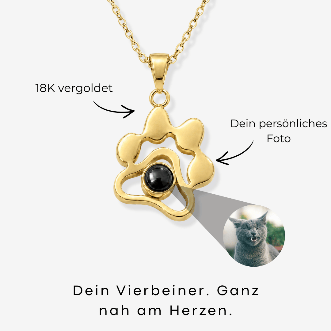Hero - Personalisierte Halskette mit Foto - Pfoten